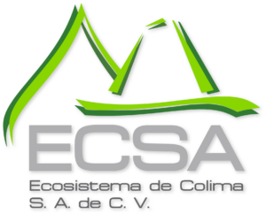 Ecsa