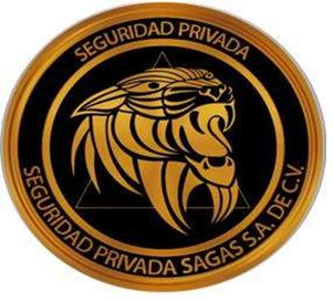 SEGURIDAD PRIVADA SAGAS