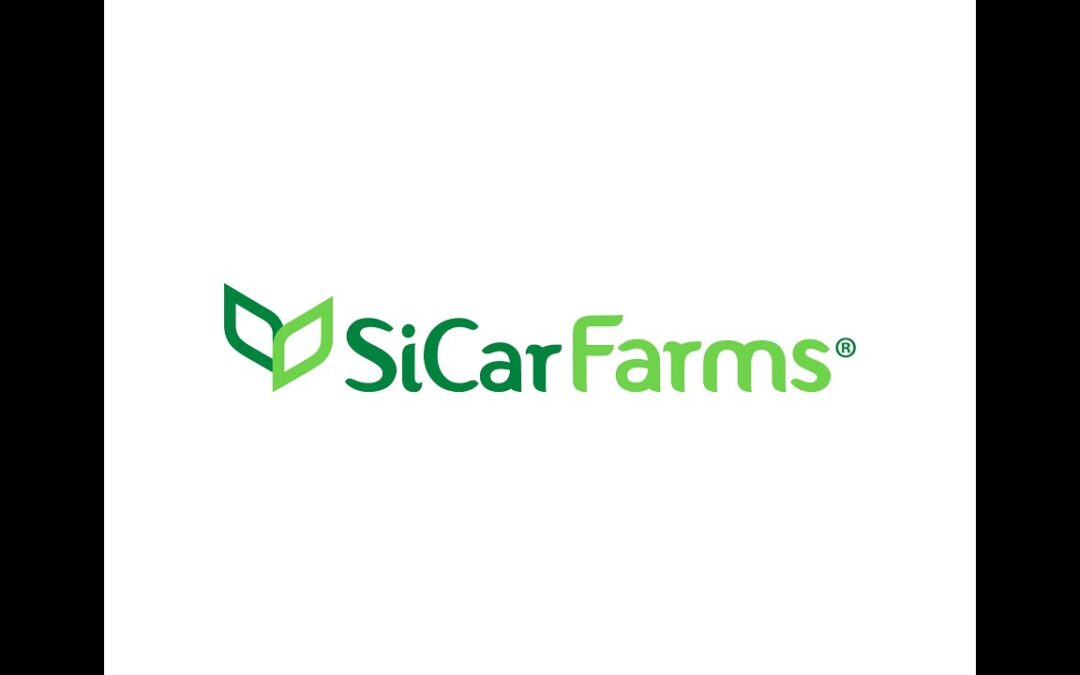SICAR, S.A. DE C.V.